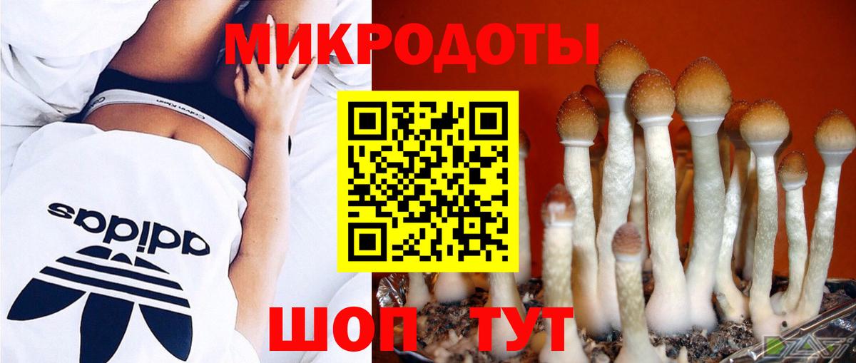 Галлюциногенные грибы Magic Shrooms  Вход с VPN  Великие Луки 