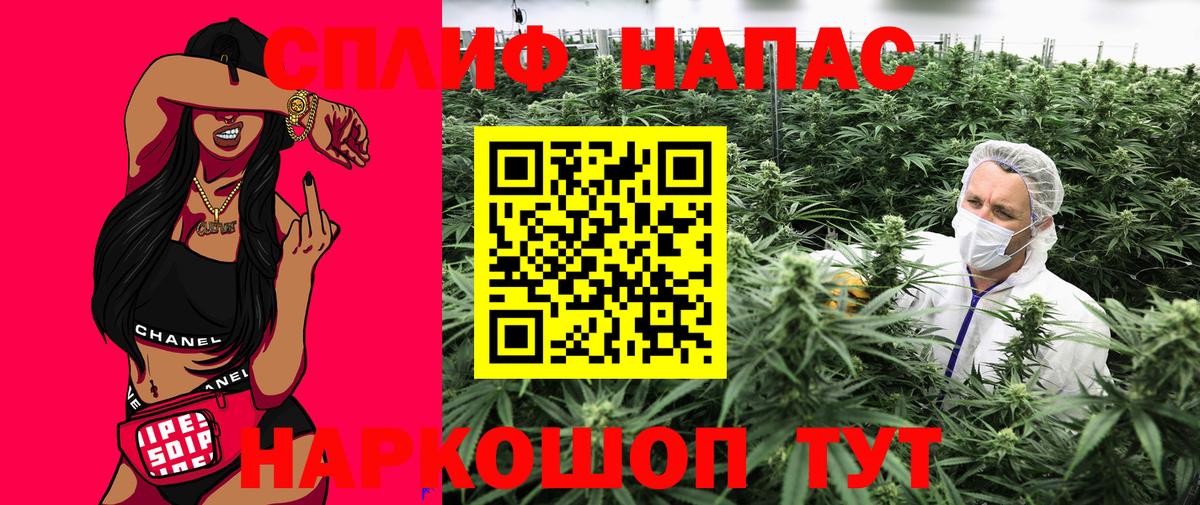 Бошки Шишки марихуана Великие Луки